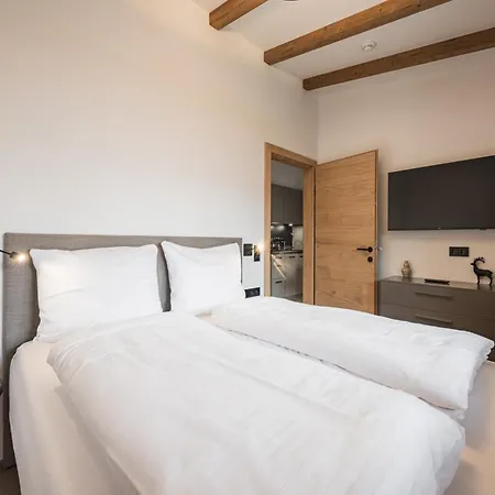 Stylish In Apartment Kirchberg in Tirol